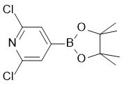 2,6-Dichloropyridine-4-boronic acid,pinacol ester